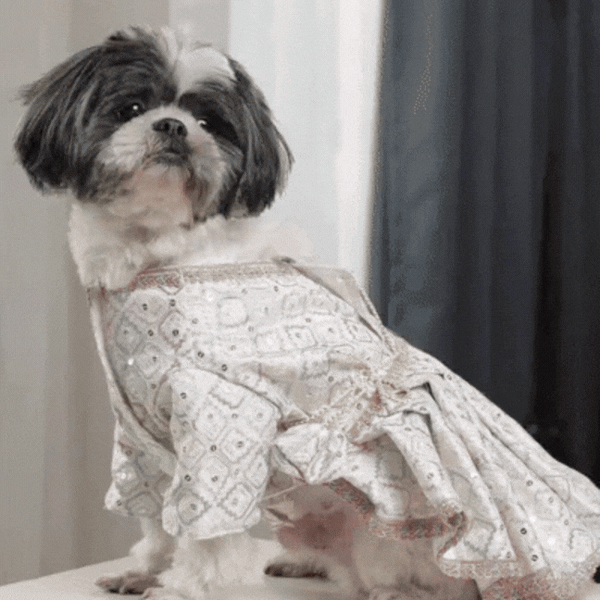 Princess Pastel Ethnic Dog Lehenga- Designer Wedding & Festive Gown for Female Dogs