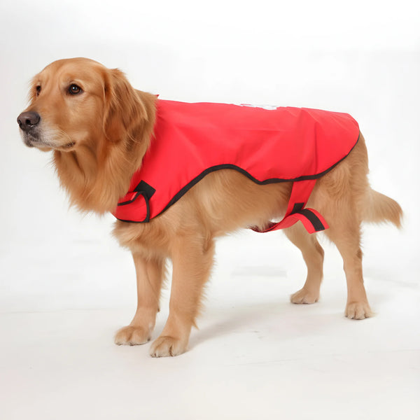 Happy Paws Printed Waterproof Dog Raincoat- Lightweight Cartoon Monsoon Jacket