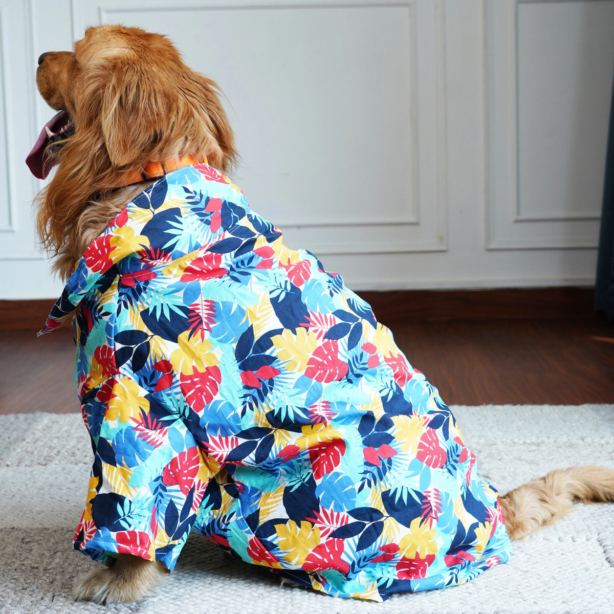 Tropical Floral Dog Shirt – Goa Vibes Breathable Cotton Summer Shirt for Dogs