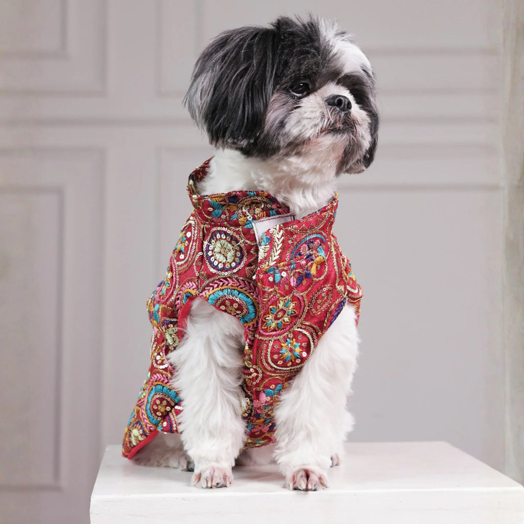 Royal Embroidered Dog Sherwani – Premium Wedding & Festive Designer Wear (Red Multicolor)