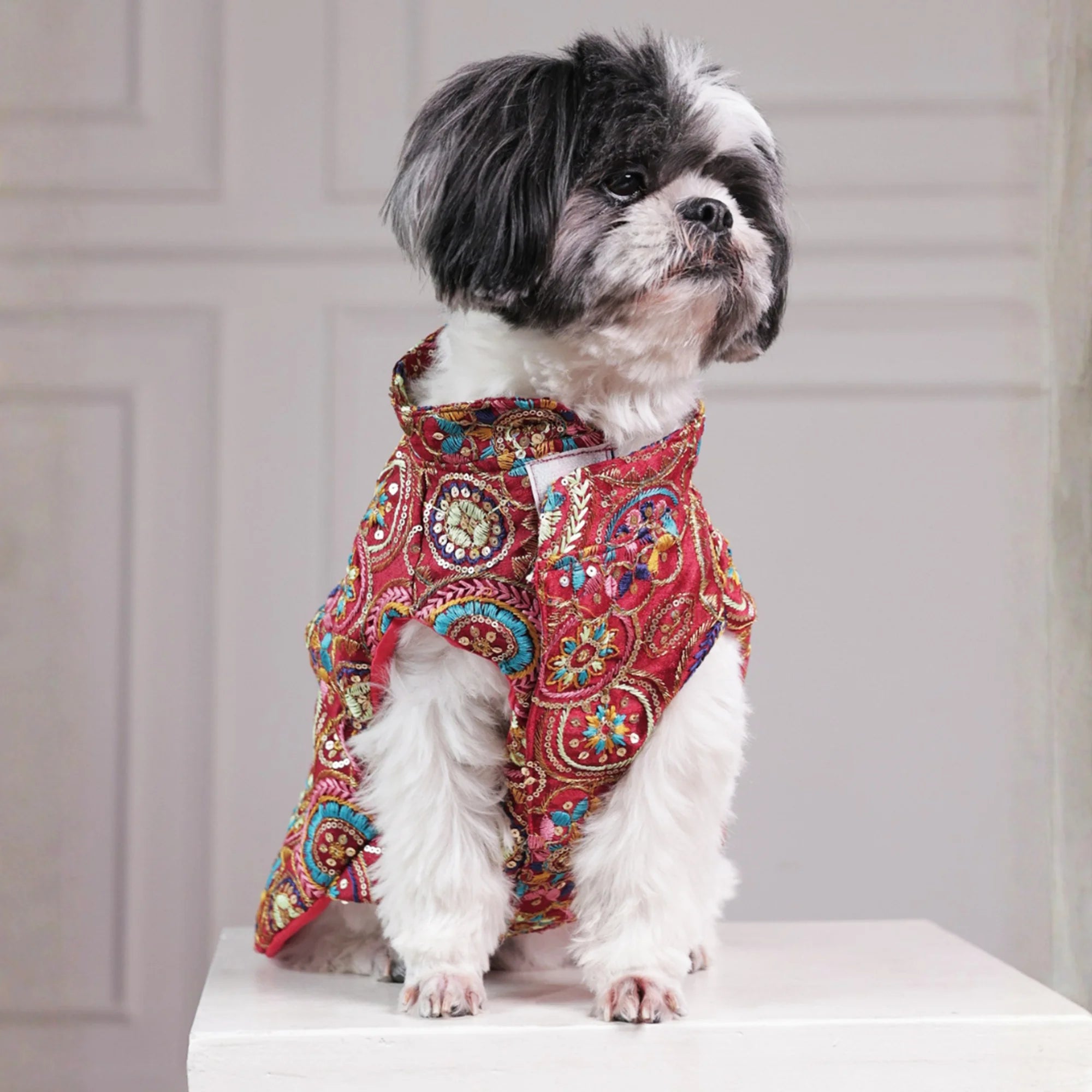 Royal Embroidered Dog Sherwani – Premium Wedding & Festive Designer Wear (Red Multicolor)
