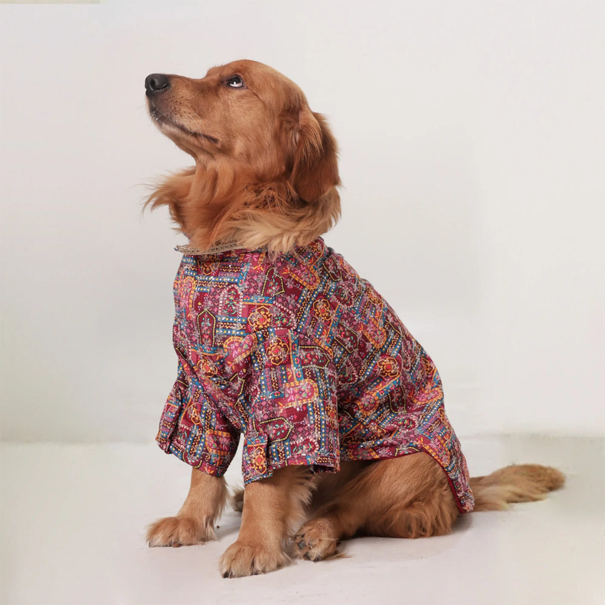 RangMahal Printed Ethnic Dog Kurta- Full Sleeve Wedding & Festive Wear