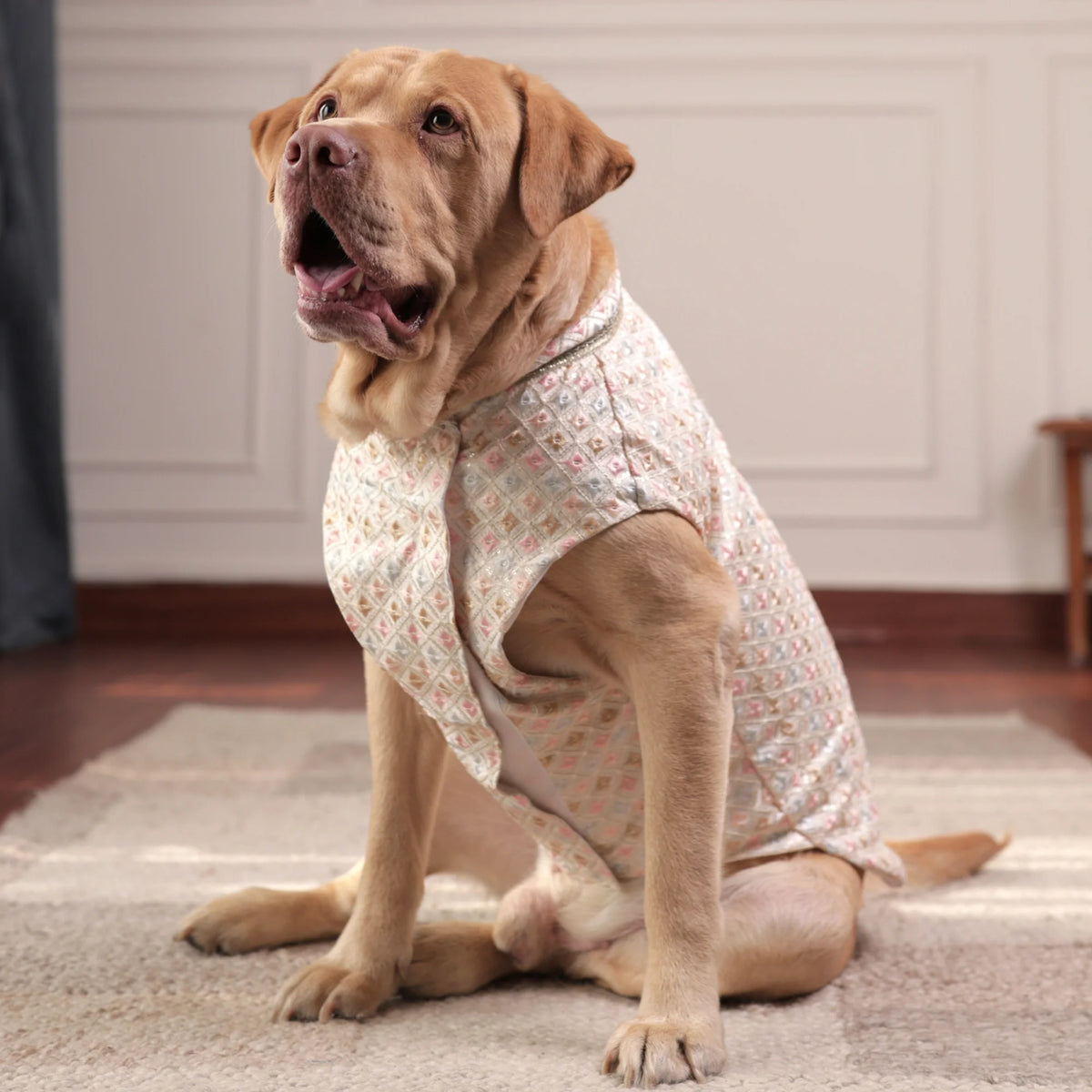 Luxe Pastel Festive Dog Kurta- Regal Monosilk Wedding Outfit