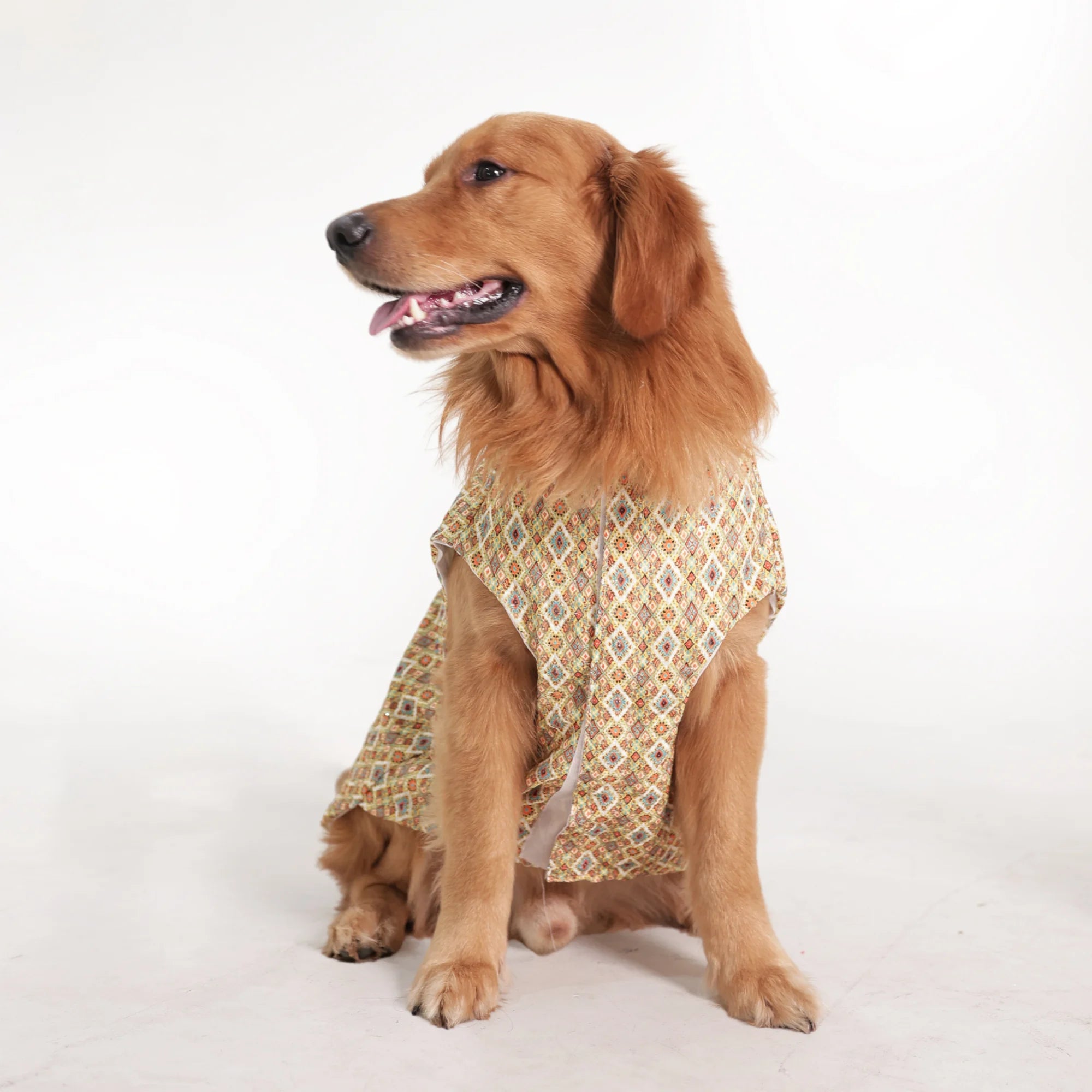 Heritage Print Ethnic Dog Kurta- Lightweight Festive & Party Wear