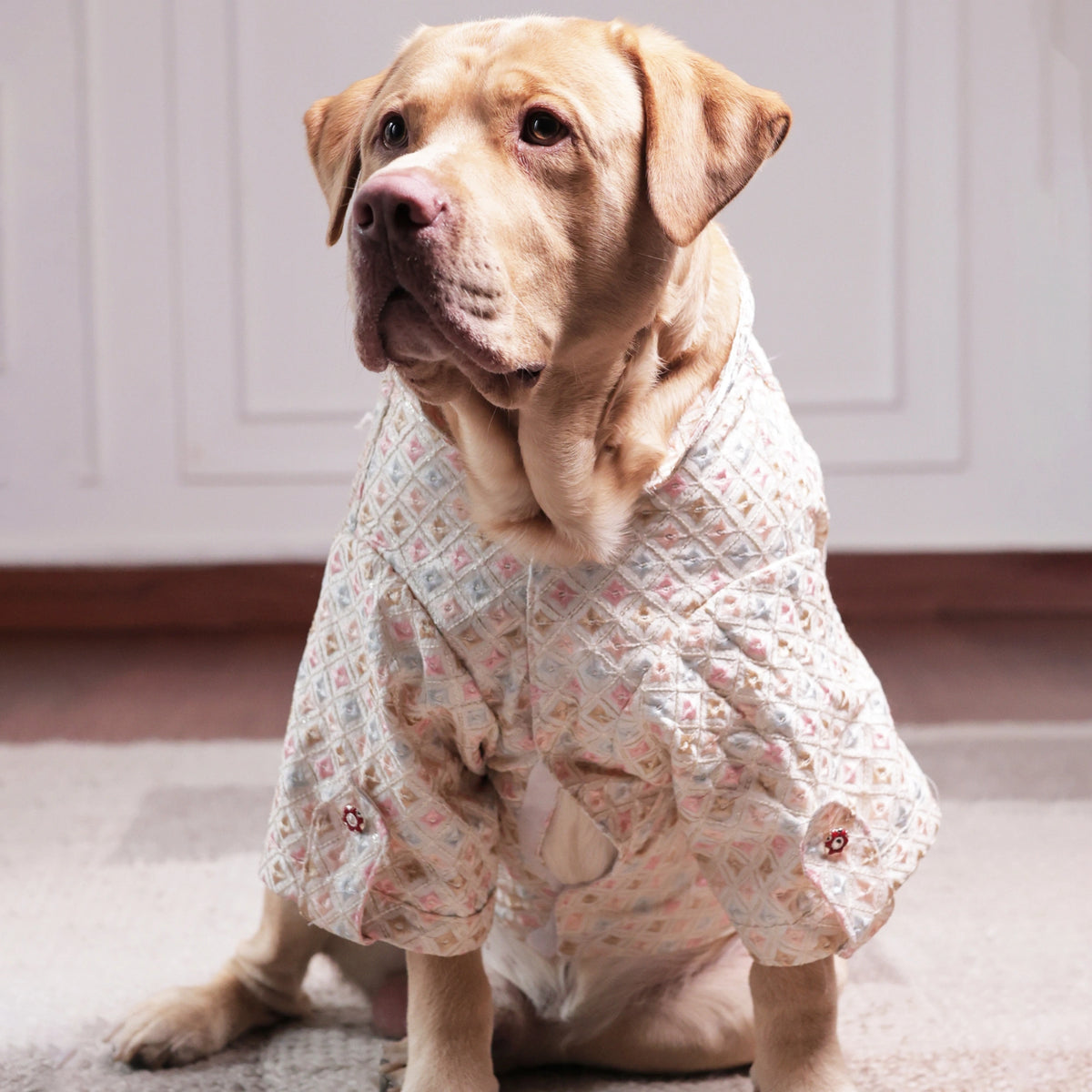 Furryfits Premium Pastel Designer Dog Kurta – Festive Ethnic Wear for Dogs