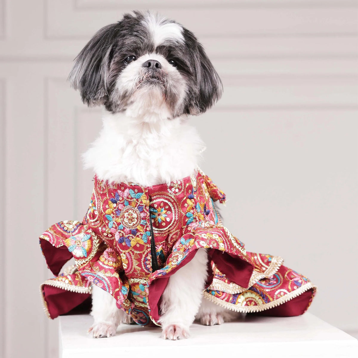 Luxury Embroidered Dog Lehenga – Royal Wedding & Festive Couture Wear (Red Multicolor)