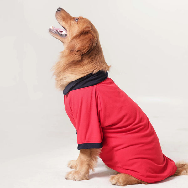 Classic Polycotton Polo Dog T-Shirt- Smart Casual Everyday Wear (Red)