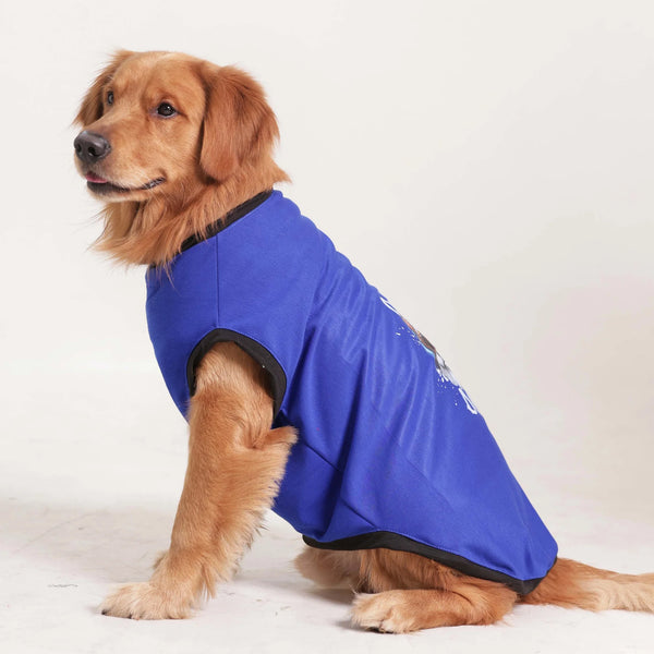 Cute Dog Graphic Printed T-Shirt- Casual Everyday Wear (Blue)