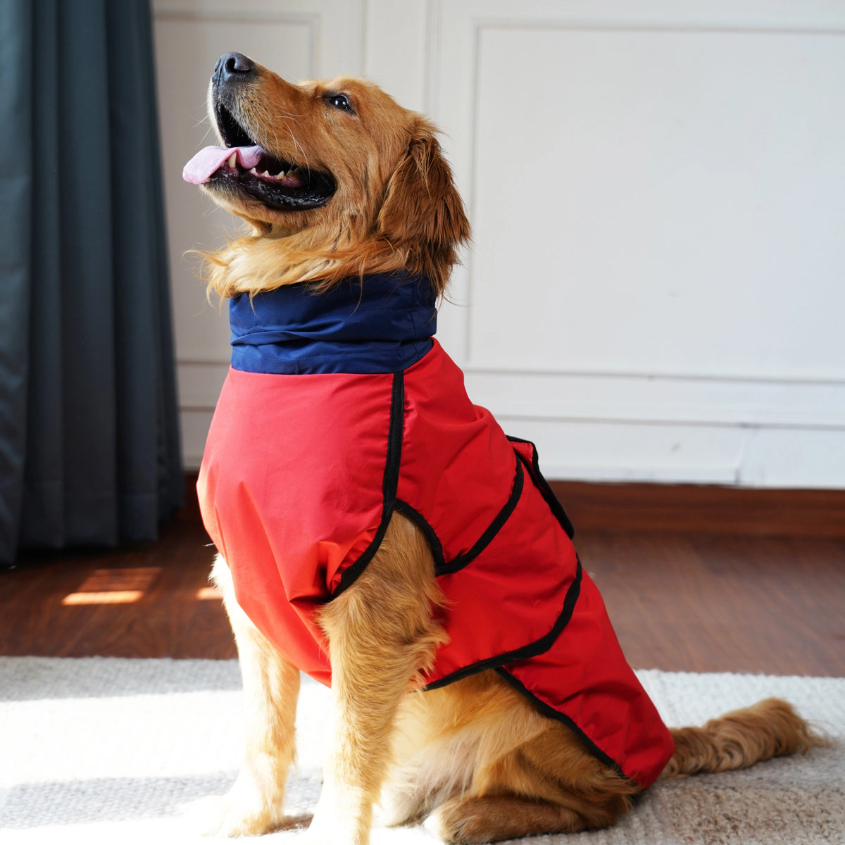Waterproof Dog Raincoat (Red & Navy) – Lightweight Sleeveless Rain Jacket with Neck Protection