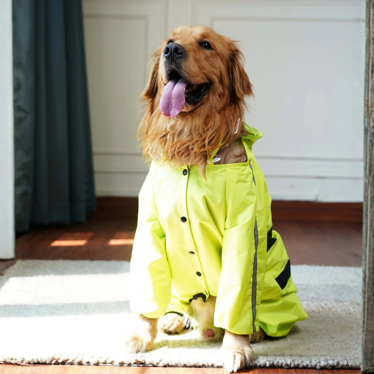 Waterproof Neon Green Dog Raincoat Lightweight Hooded Rain Jacket for Dogs