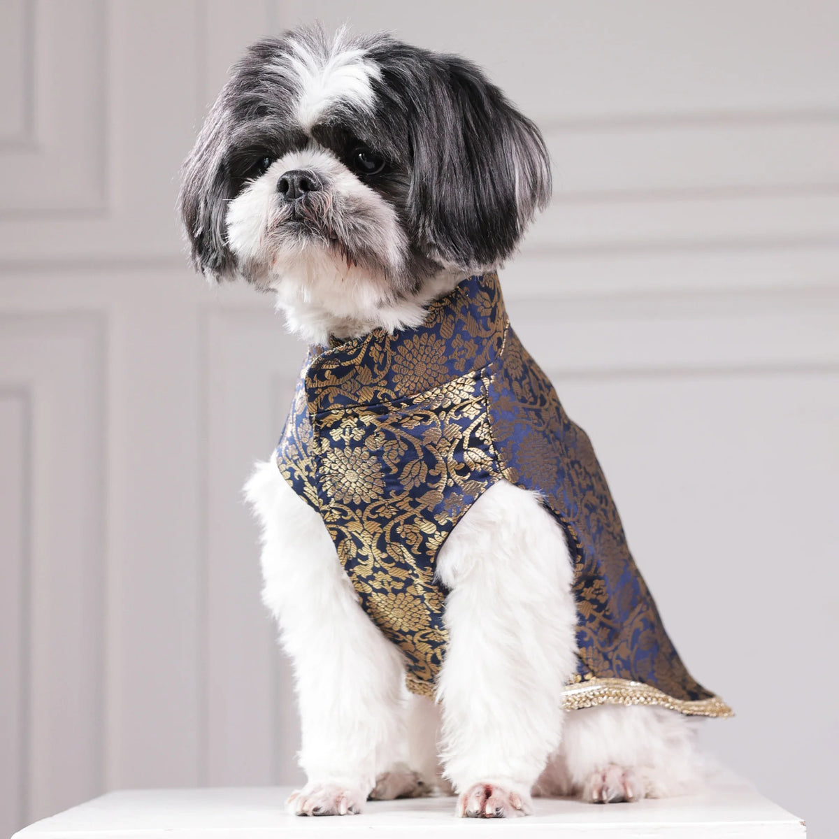 Royal Brocade Dog Kurta – Luxury Wedding & Festive Ethnic Wear (Navy & Gold)