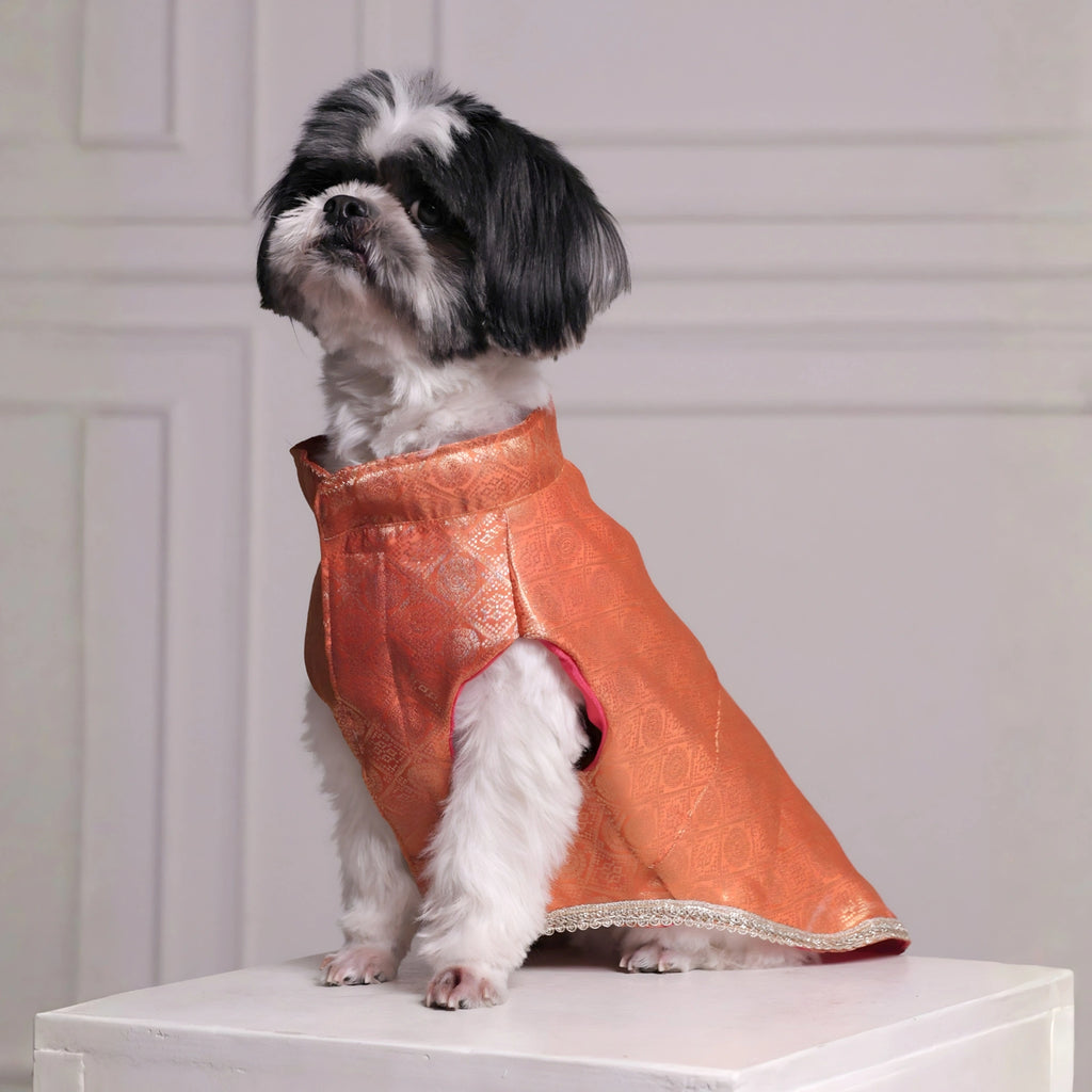 Royal Brocade Dog Kurta (Orange) – Premium Festive Ethnic Wear for Dogs