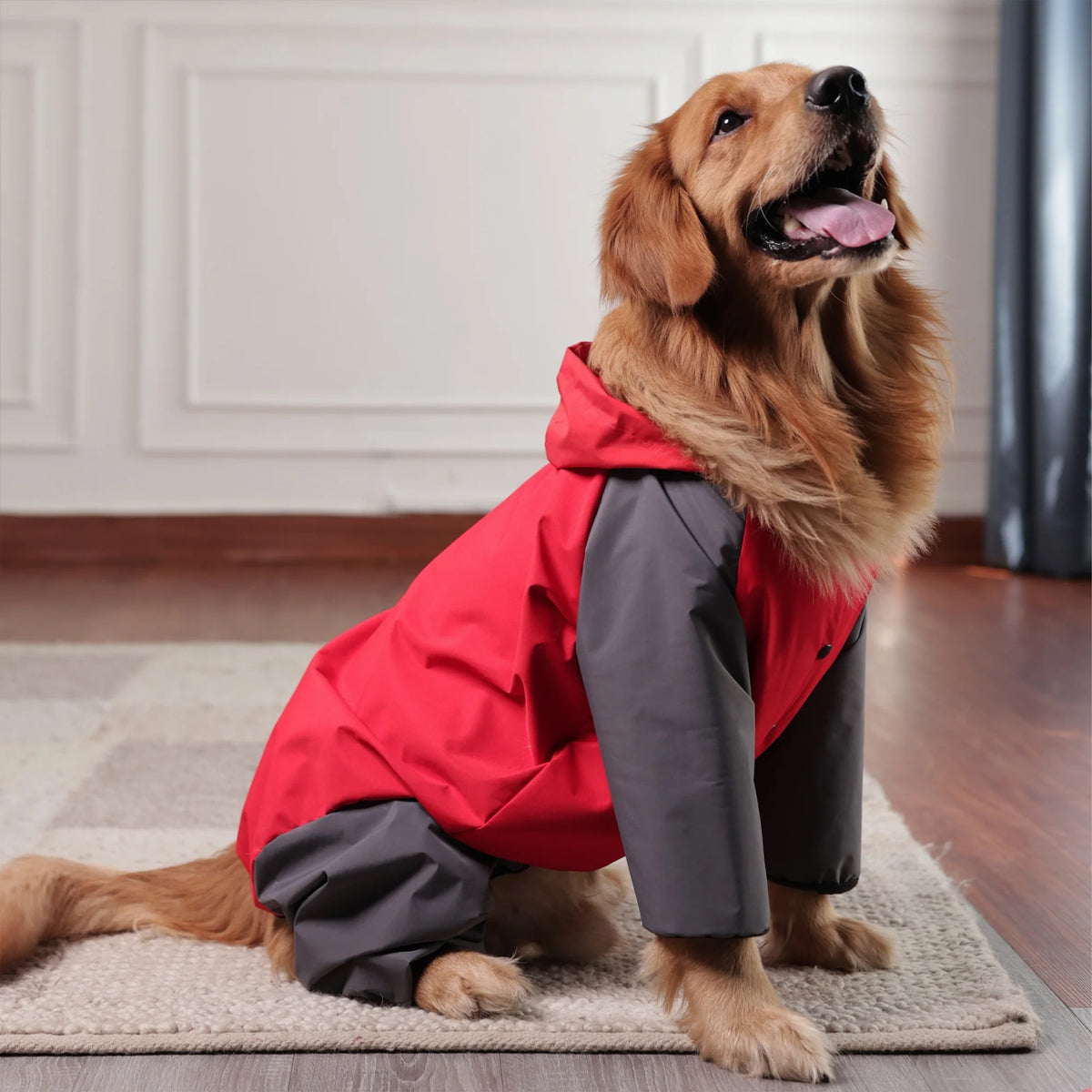 Storm Guard Waterproof Dog Raincoat with Hood- Lightweight All Weather Protection