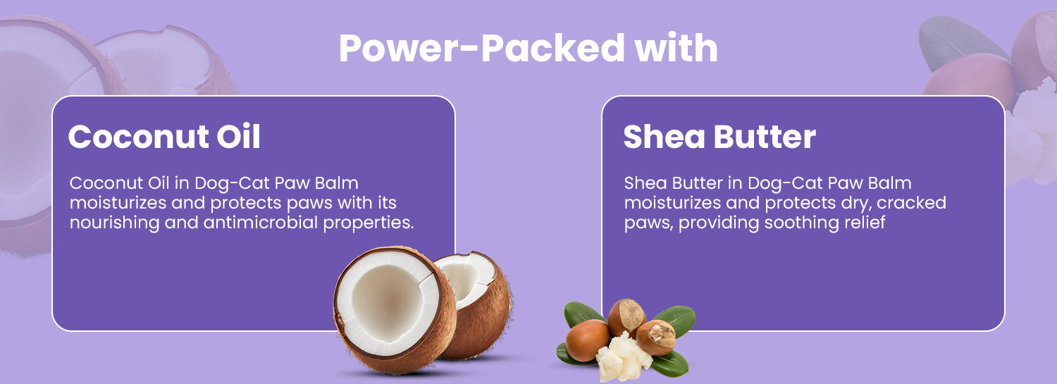 Shea Butter