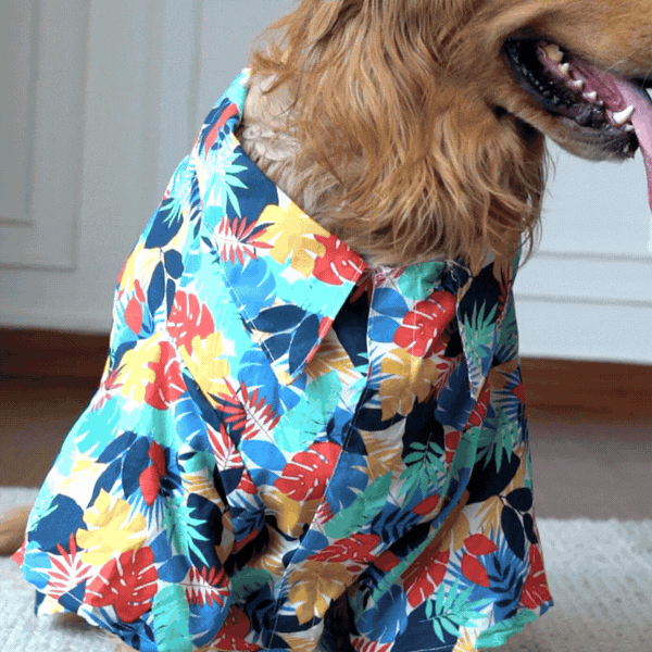 Tropical Floral Dog Shirt – Goa Vibes Breathable Cotton Summer Shirt for Dogs