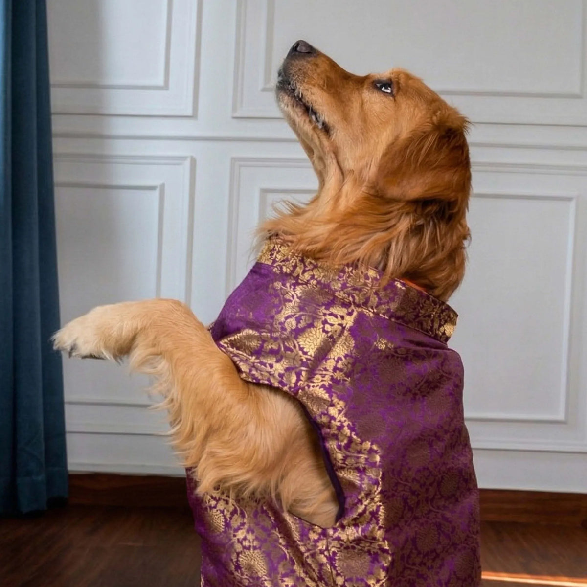 Furryfits Royal Floral Brocade Dog Kurta (Purple & Gold) – Premium Ethnic Wedding & Festive Wear for Dogs