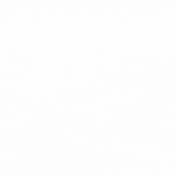 Waterproof Neon Green Dog Raincoat Lightweight Hooded Rain Jacket for Dogs