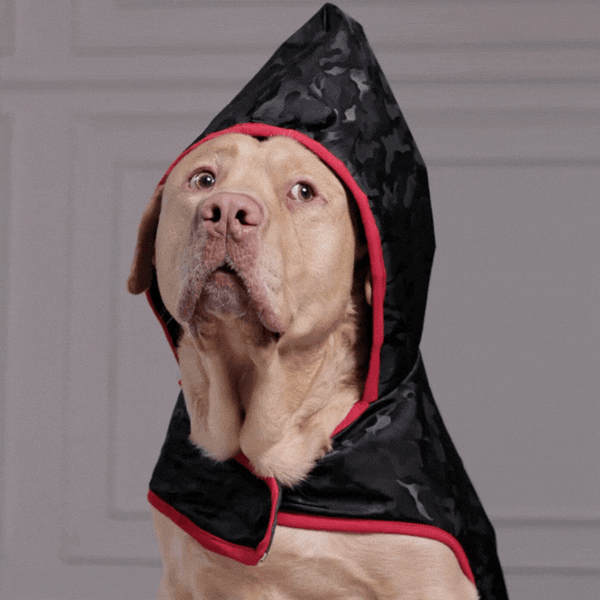 Camouflage Waterproof Dog Raincoat with Hood – Lightweight Rain Jacket for Dogs