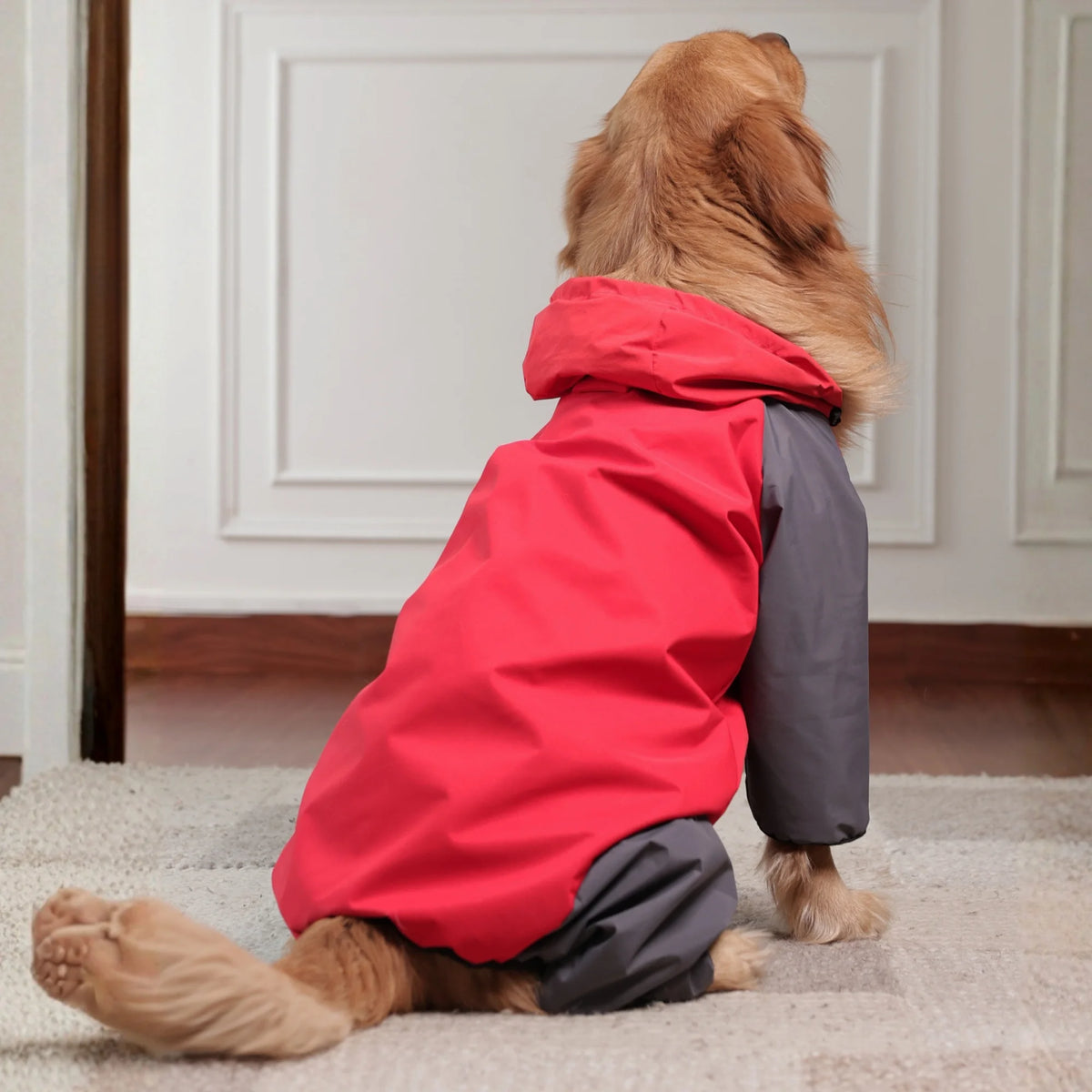 Storm Guard Waterproof Dog Raincoat with Hood- Lightweight All Weather Protection