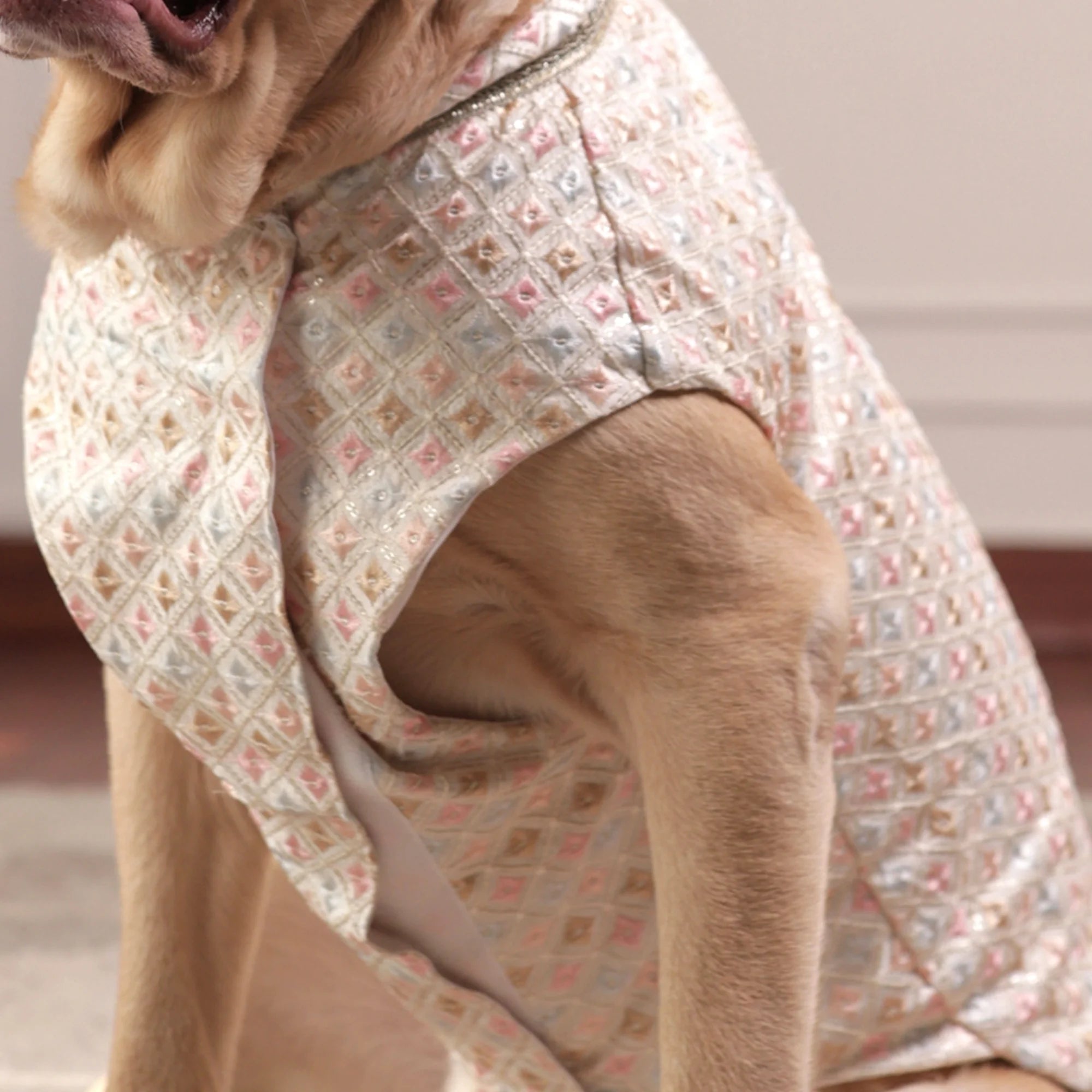 Luxe Pastel Festive Dog Kurta- Regal Monosilk Wedding Outfit
