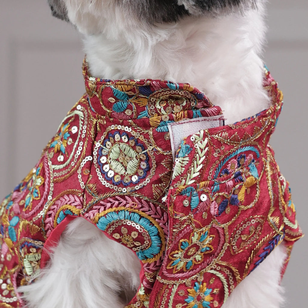Royal Embroidered Dog Sherwani – Premium Wedding & Festive Designer Wear (Red Multicolor)