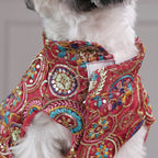 Royal Embroidered Dog Sherwani – Premium Wedding & Festive Designer Wear (Red Multicolor)