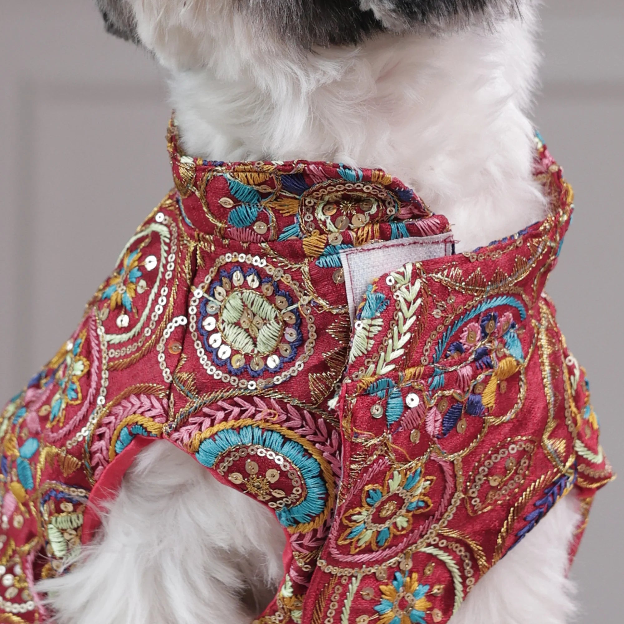 Royal Embroidered Dog Sherwani – Premium Wedding & Festive Designer Wear (Red Multicolor)