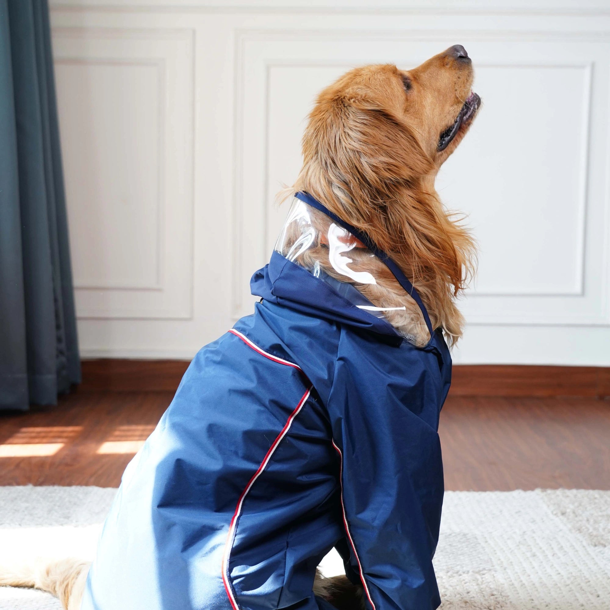 Waterproof Dog Raincoat with Transparent Hood – Lightweight Protective Rain Jacket for Dogs