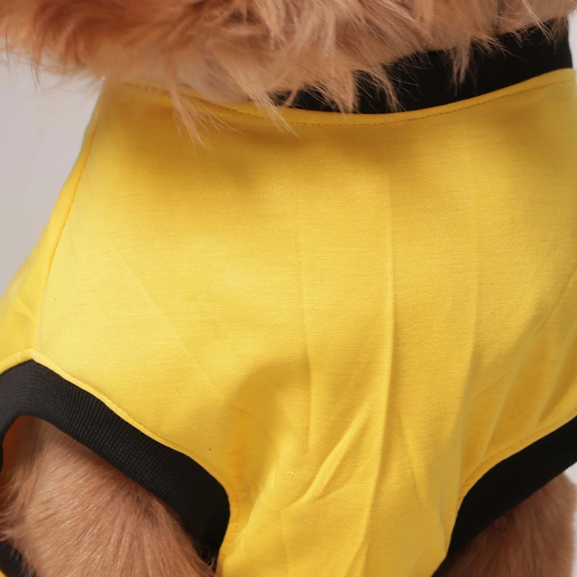 “Cute Dog” Graphic T-Shirt – Casual Everyday Wear (Yellow)