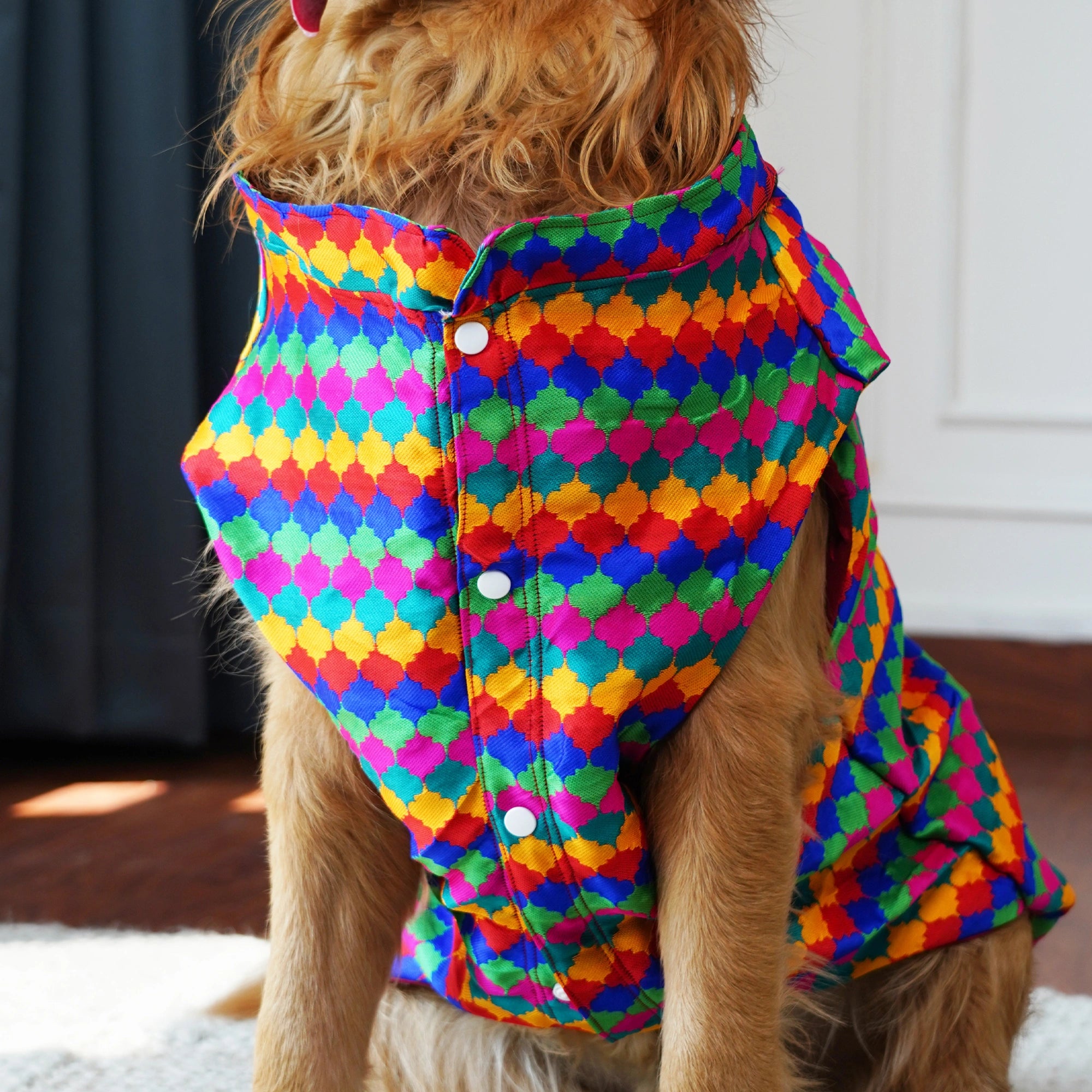 Multicolor Geometric Designer Dog Kurta Premium Polycotton Party Wear Kurta for Dogs