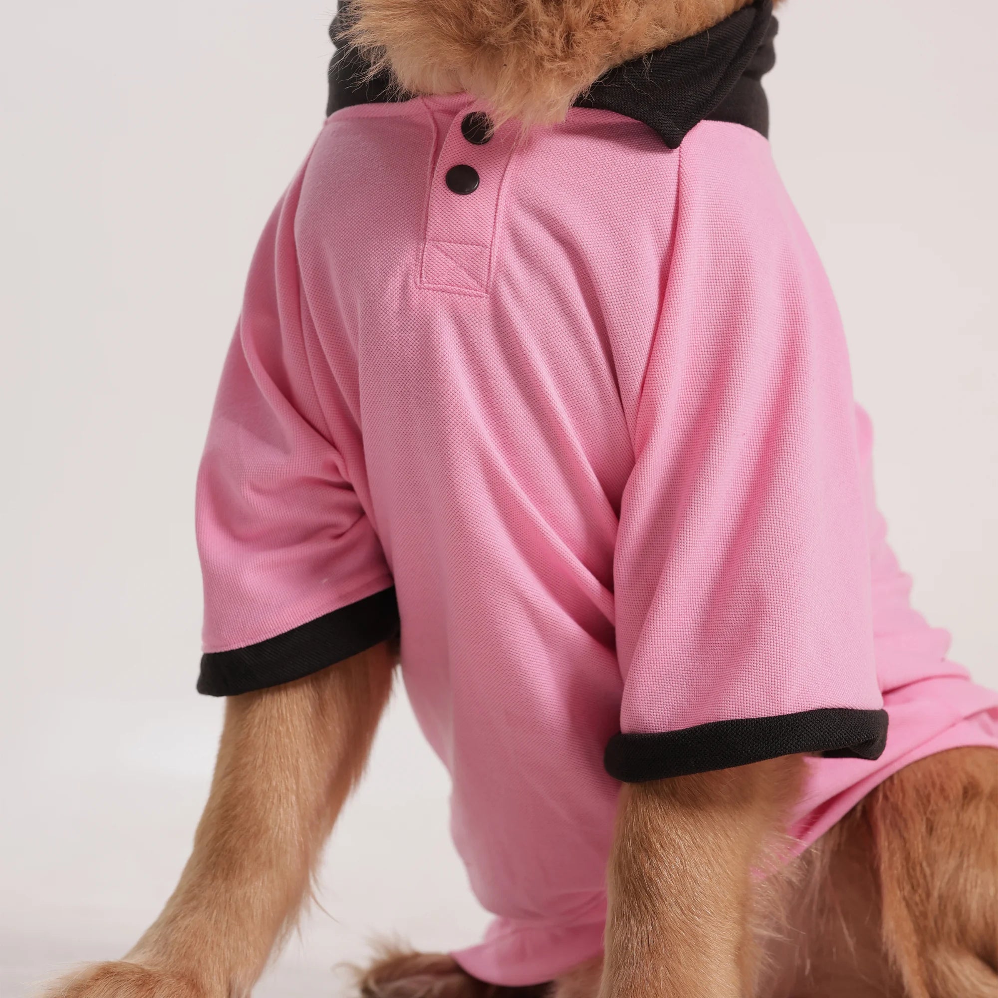 Comfort Polo Tee- Polycotton Everyday Dog T-Shirt