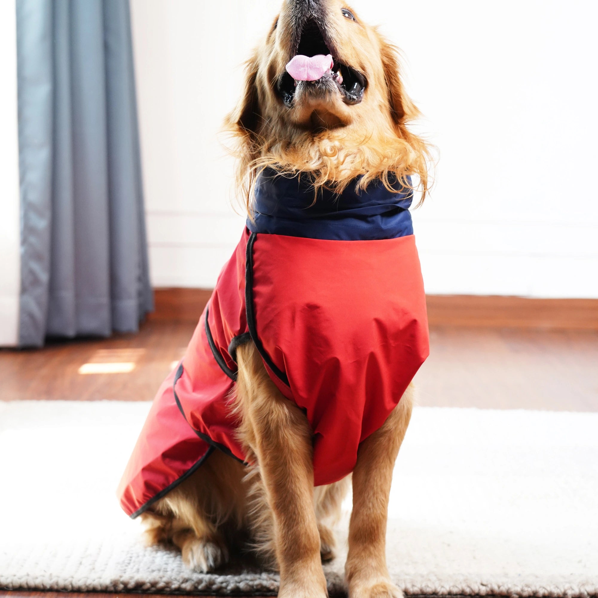 Waterproof Dog Raincoat (Red & Navy) – Lightweight Sleeveless Rain Jacket with Neck Protection