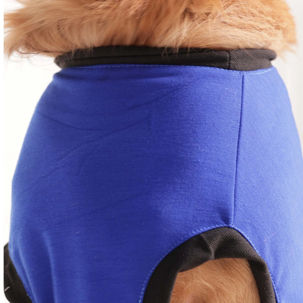 Cute Dog Graphic Printed T-Shirt- Casual Everyday Wear (Blue)