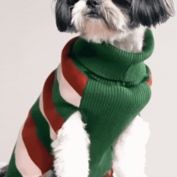 EarthBound Stripes Sweater – Classic Striped Winter Pet Sweater