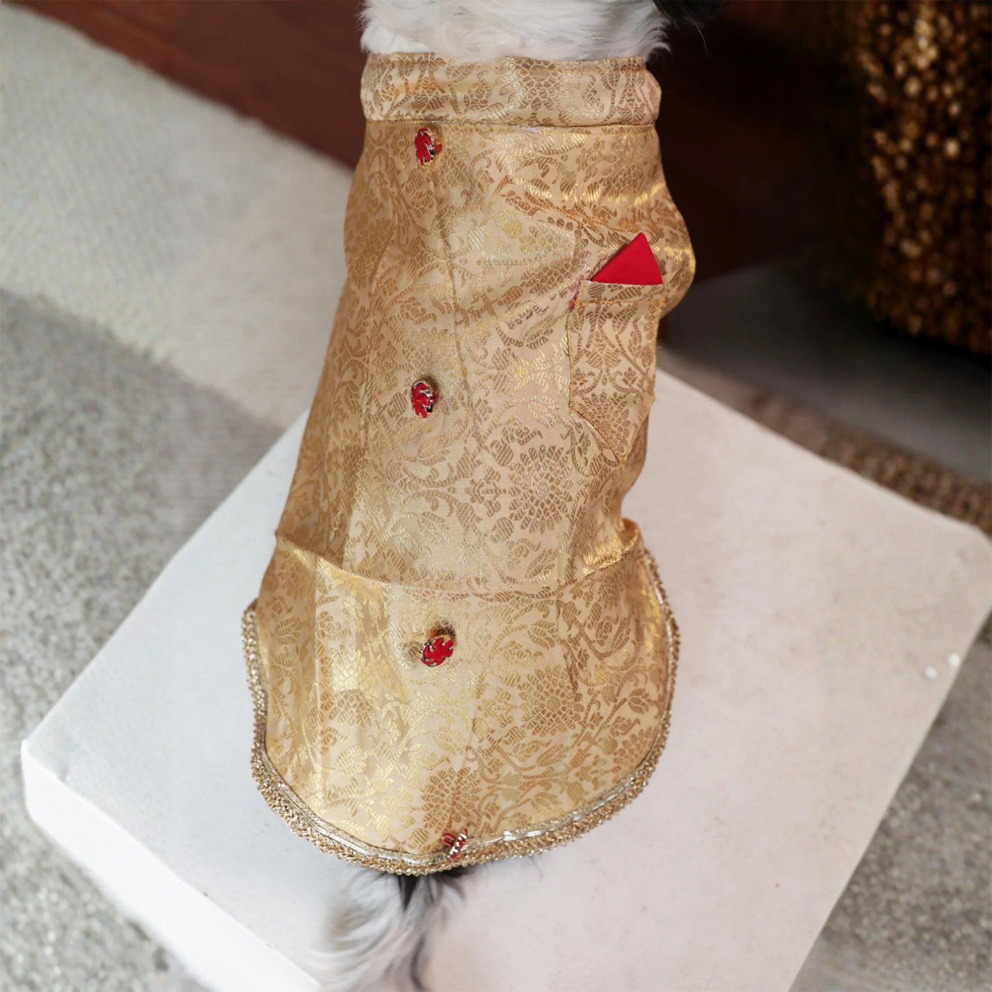 Royal Rajwada Dog Kurta- Brocade Wedding & Festive Ethnic Wear