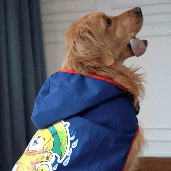 Happy Paws Printed Waterproof Dog Raincoat – Cartoon Monsoon Rain Jacket for Dogs