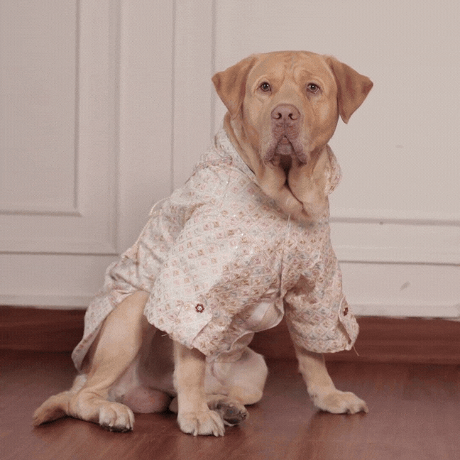 Furryfits Premium Pastel Designer Dog Kurta – Festive Ethnic Wear for Dogs