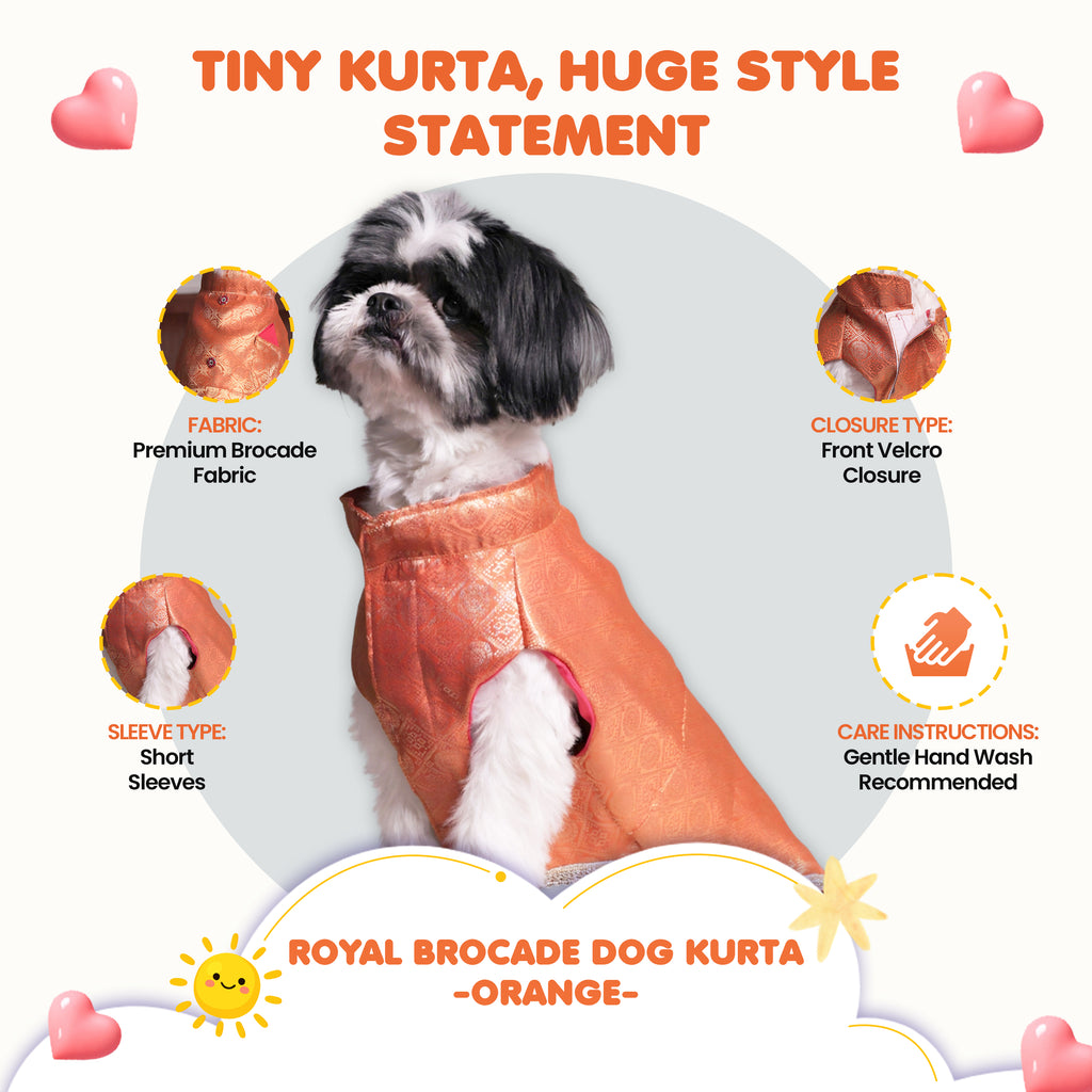 Royal Brocade Dog Kurta (Orange) – Premium Festive Ethnic Wear for Dogs