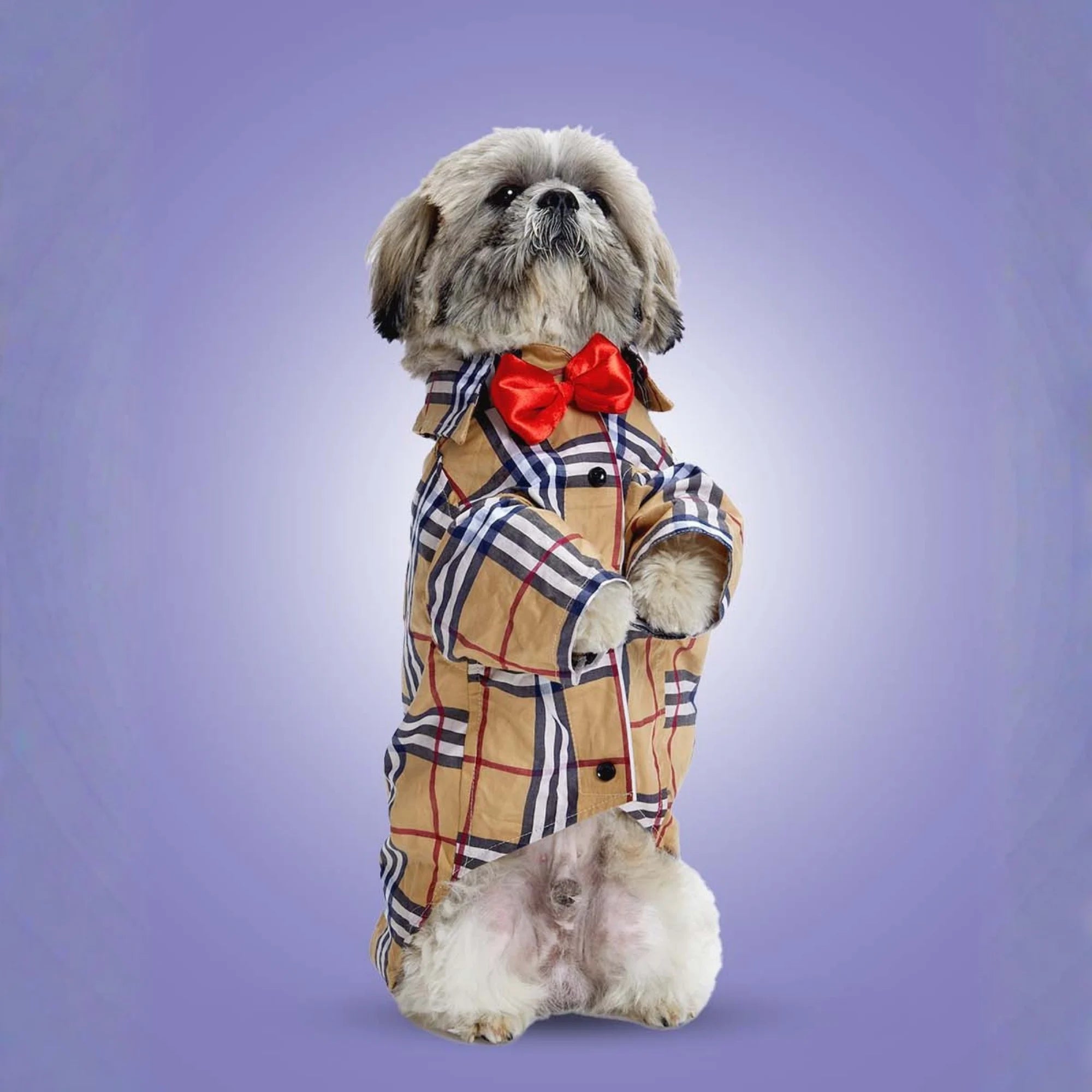 Furryfits Classic Burberry Dog Clothes Shirt – Iconic Style & Everyday Comfort