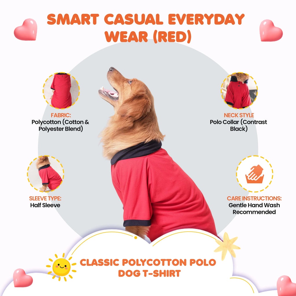 Classic Polycotton Polo Dog T-Shirt- Smart Casual Everyday Wear (Red)
