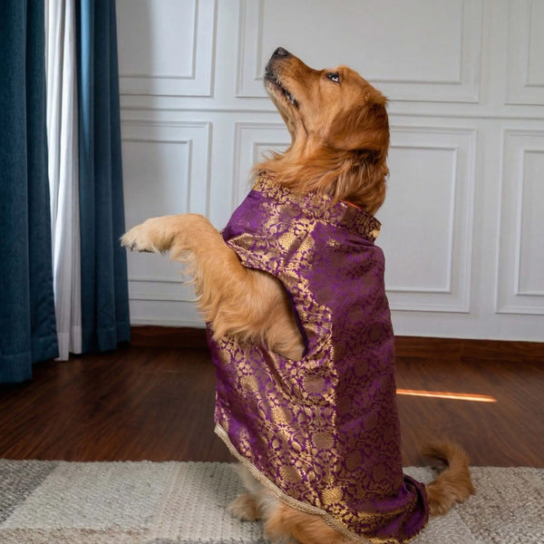 Furryfits Royal Floral Brocade Dog Kurta (Purple & Gold) – Premium Ethnic Wedding & Festive Wear for Dogs