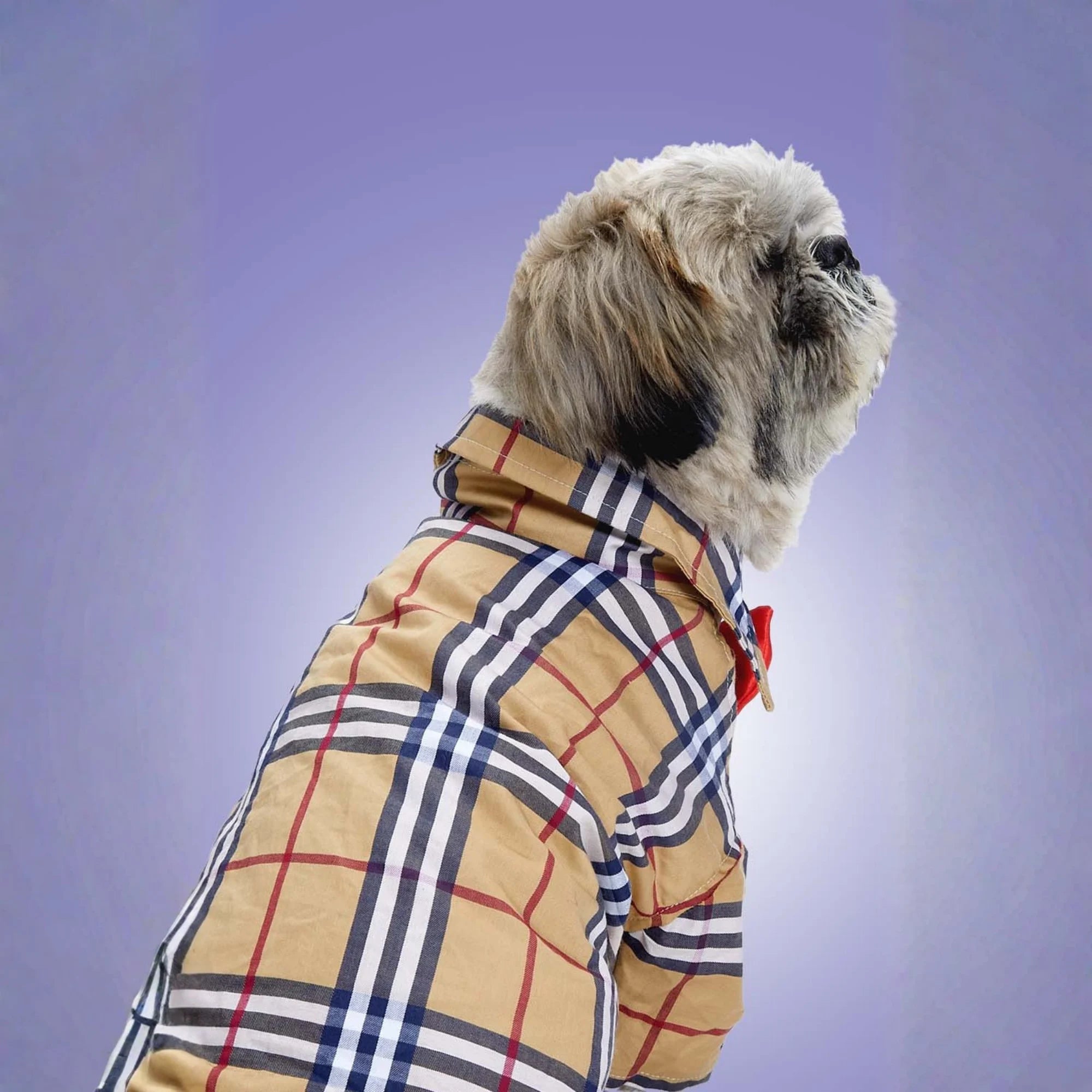 Furryfits Classic Burberry Dog Clothes Shirt – Iconic Style & Everyday Comfort