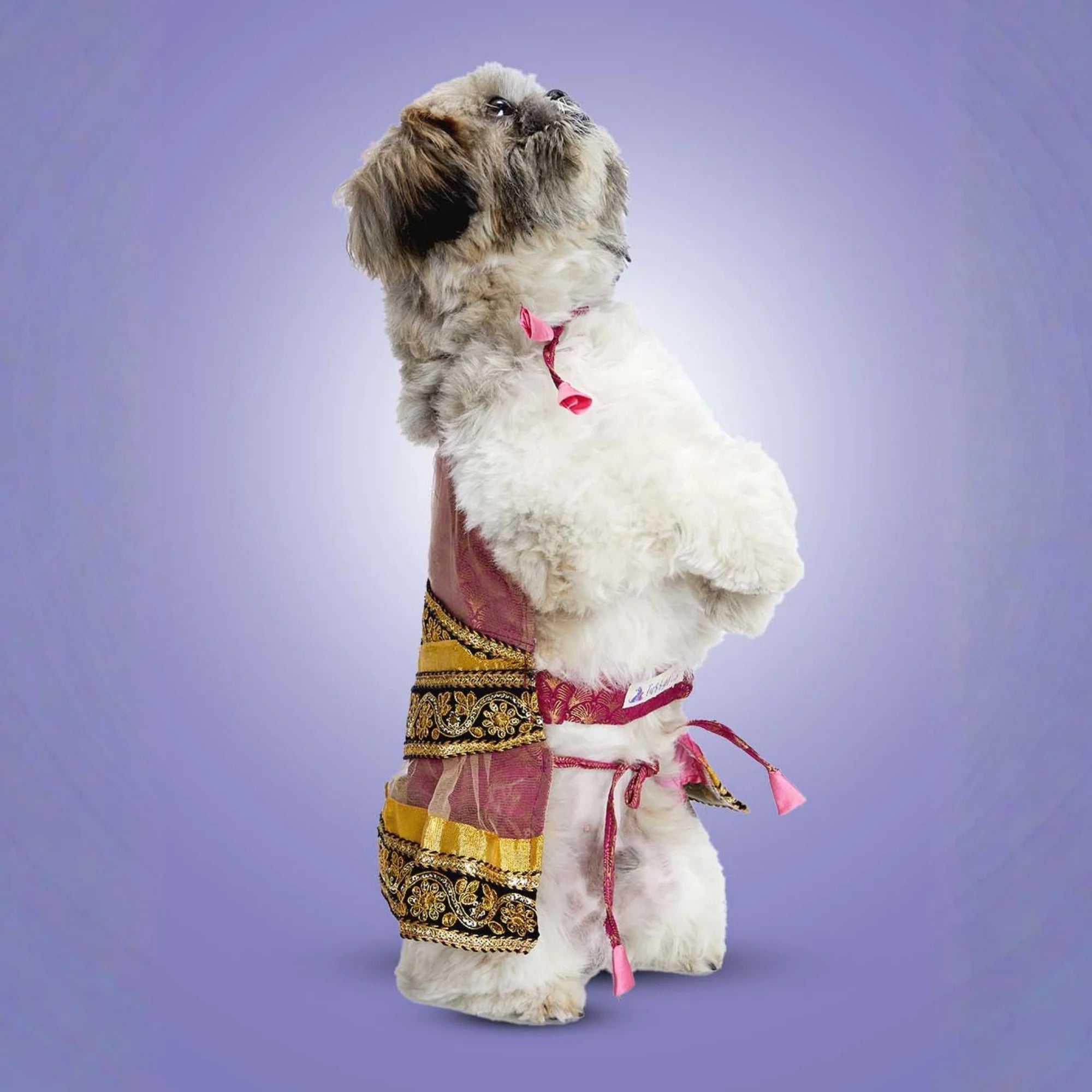 Furryfits Festive Diva Dog lehenga – Elegant & Stunning Traditional Wear