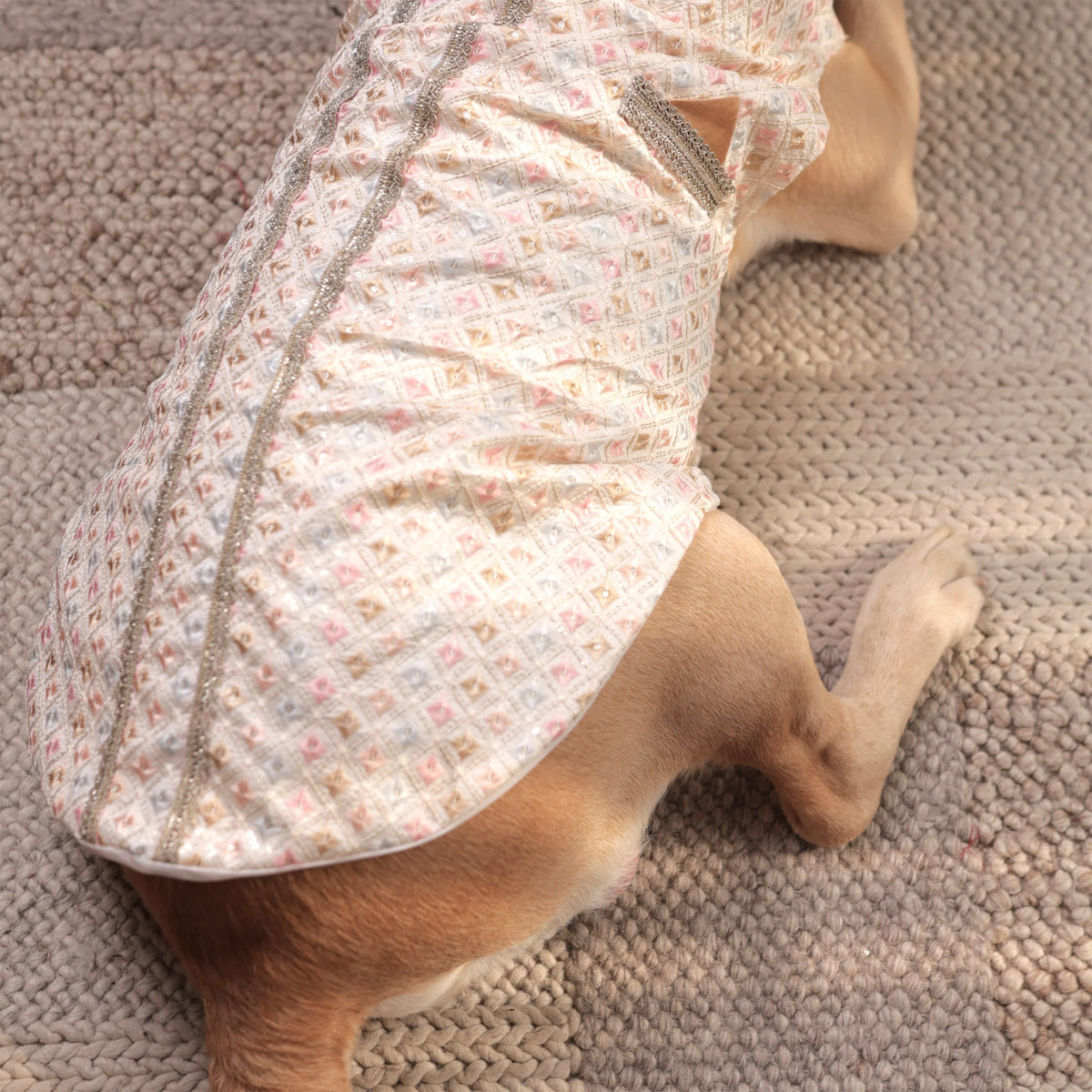 Luxe Pastel Festive Dog Kurta- Regal Monosilk Wedding Outfit