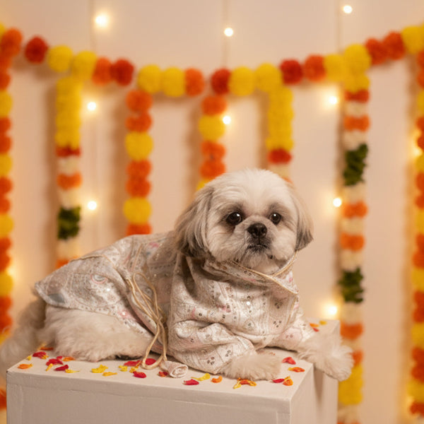 Festival Joy Designer Kurta