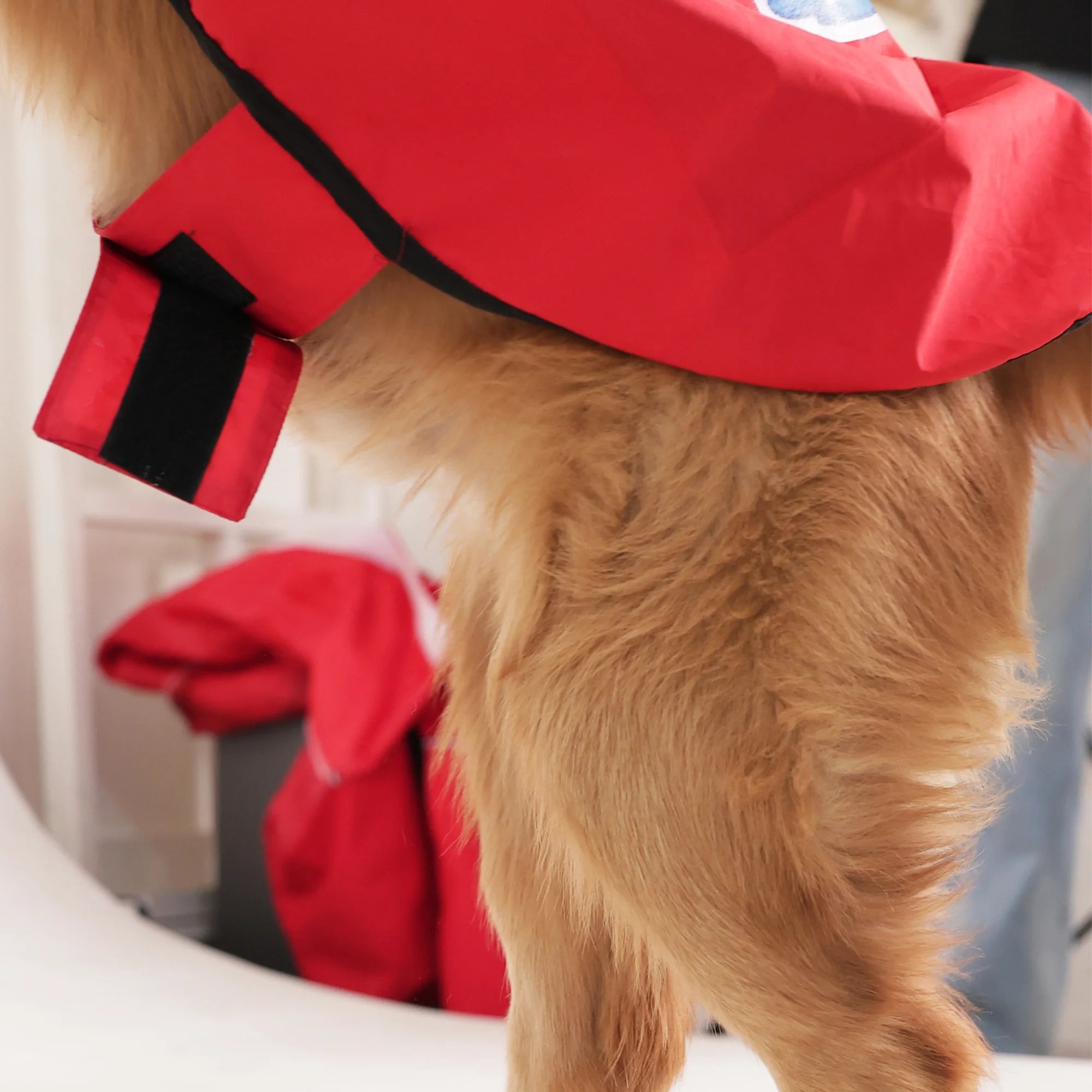 Happy Paws Printed Waterproof Dog Raincoat- Lightweight Cartoon Monsoon Jacket