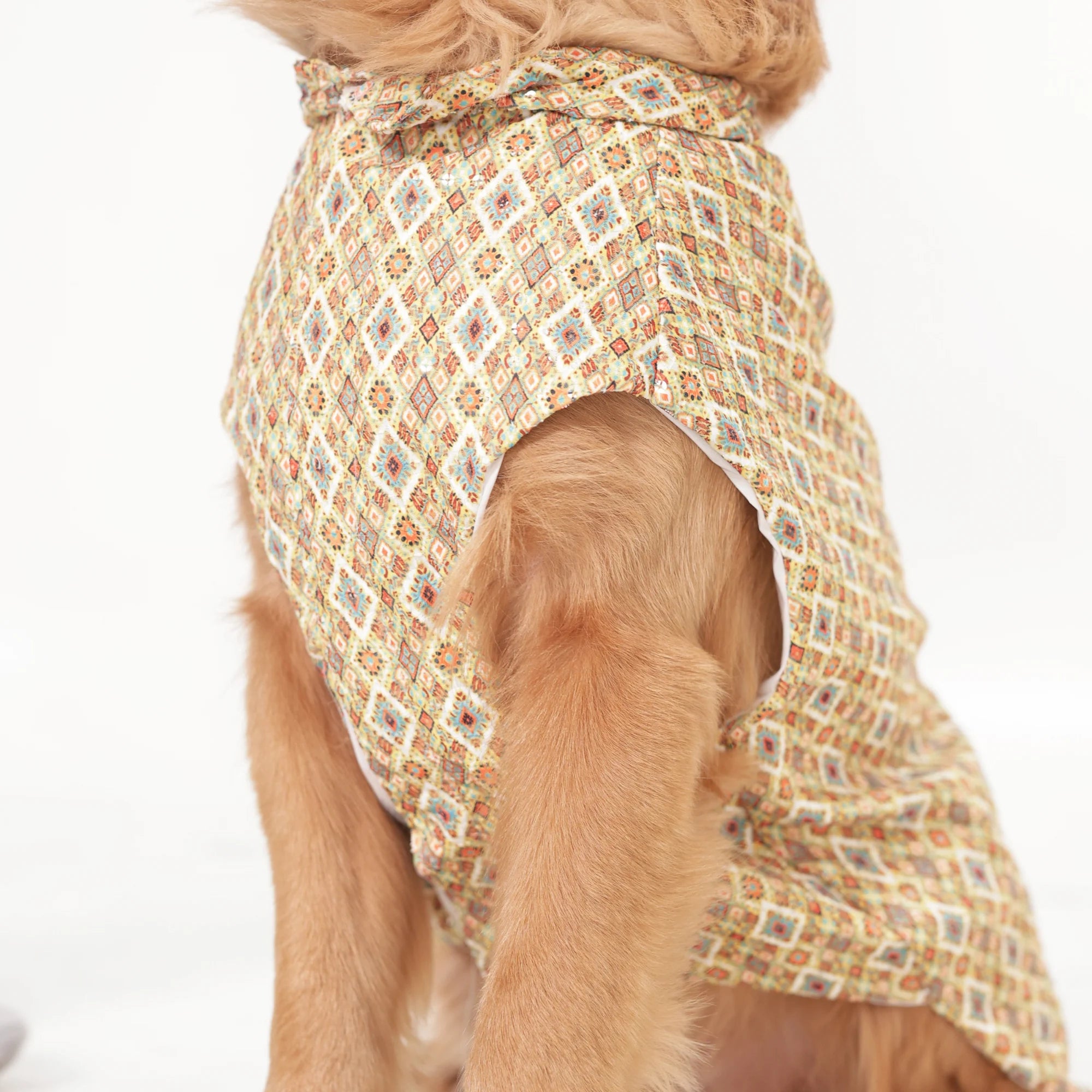 Heritage Print Ethnic Dog Kurta- Lightweight Festive & Party Wear