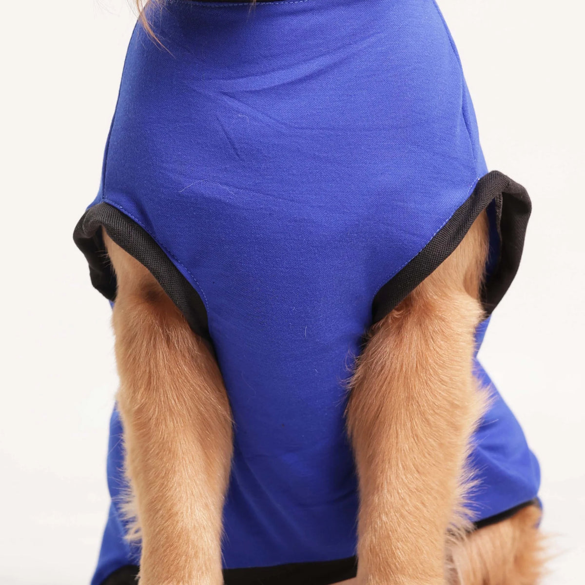 I Give Free Kisses Printed Dog T-Shirt- Cute Casual Wear (Blue)