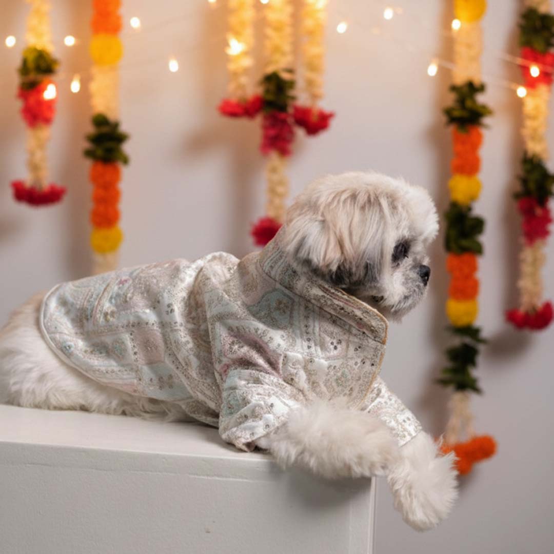 Festival Joy Designer Kurta