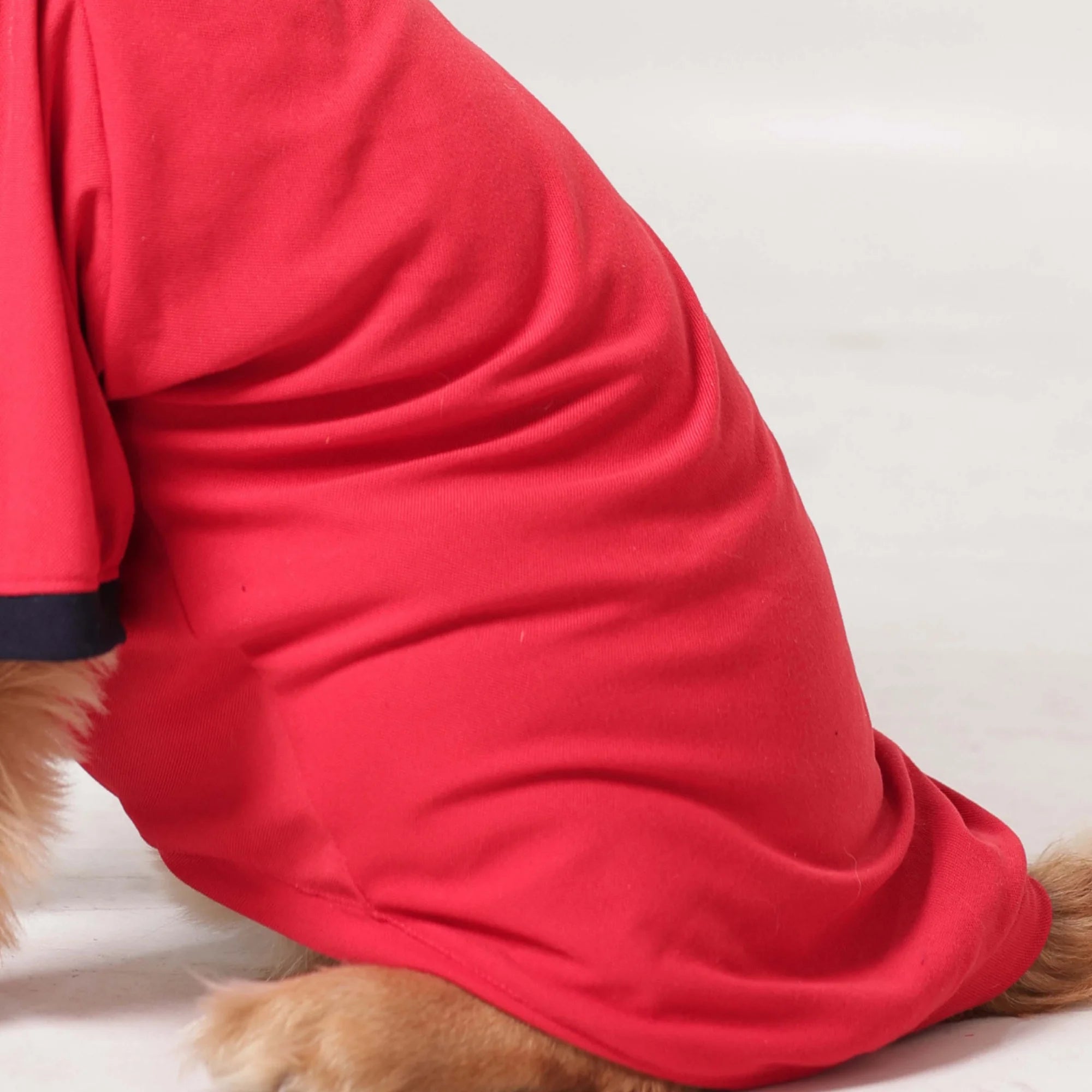 Classic Polycotton Polo Dog T-Shirt- Smart Casual Everyday Wear (Red)